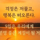 자구리해안 이미지