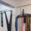 트리니코스 이미지