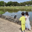 남생이못 이미지