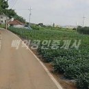 안중농업협동조합포승지점 이미지