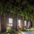 드림꽃사슴 이미지