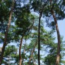 소수중학교 | [ 경북 ] 2019, 은어 TOUR … 9. 영주 소수서원 - ① 진입부