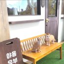 야옹유부