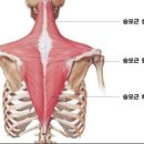 수미원