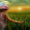 초원의 빛 이미지