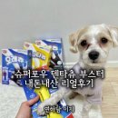 개동유치원 | 슈퍼포우 덴탈츄 부스터 분리불안 필수템 (?) 내돈내산 사용 후기