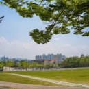 고려대학교(세종) 행정대학원 이미지