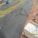 이팝농장 이미지