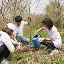 영인터내셔널 이미지
