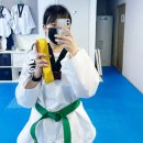 선태권도장 | 성인 태권도 입문 후기 – 가온에서 한 달, 어떻게 진행 될까?