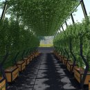 엄정내창시장 이미지