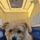 군산시-01301 이미지