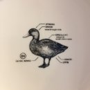 친구M&C | 홍콩 침사추이 맛집 추천 M&C Duck 완전 강추!