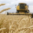 이남농장 이미지