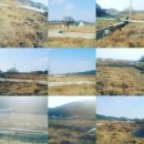 ●30대흙수저5000만원으로시작.2년반만에 세상에서 제일비싼걸 !! 거침없이 내맘껏 사고파는 진짜사나이가되다 ●텐인텐카페지기 의형제도되다^^그리고. 이미지