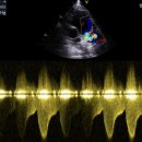 샤인고양이메디컬센터 이미지