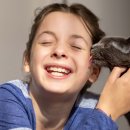 청산동물병원 인공수정소 | 고양이 사료 유목민 정착템! 힐스 어덜트 유리너리 헤어볼 컨트롤, 효과 &amp; 급여 꿀팁 총정리