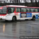 신미주(아) 이미지