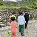 김천맑은계곡오토캠핑장 이미지