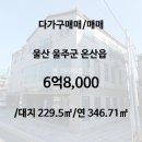 덕신강변공인중개사사무소 | 강변뷰 원룸매매 | 상가주택매매 | 덕신대우부동산