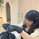 강남헤어이야기 이미지
