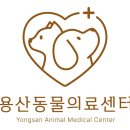 신탄진 동물병원 이미지
