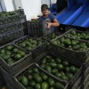 통미농장 이미지