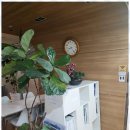 파트너 행정사 사무소 이미지