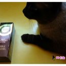 도도맨즈 이미지