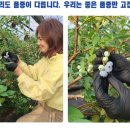 한수풀팜