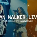 Alan Walker Live(펌) 이미지