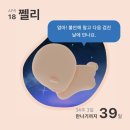 울산결핵과의원 | W34 D3 울산 보람병원 34주차 검진 막달검사 (임신중독증?), 백일해접종