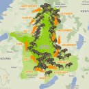 (주)선진항공여행사 | 여행 7박 9일 (1)항공권 구매, 여행사 선정, 에티오피아 항공, 사파리 숙소, 성수기, 예방접종, 여행...