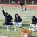 피크닉스 이미지