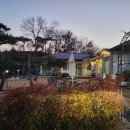 수향오리 이미지