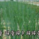 한솔병원 이미지