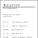 바나바조경