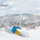 항공·체험관광 코스 이미지