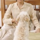 개털도사 이미지