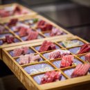 골드참치 이미지