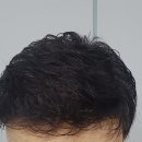 가모미모 이미지