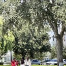 예림일터 | 올랜도 디즈니월드 인턴십 후기 (4)