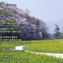 카페봄길