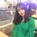 브리스(BRIS) 네이버블로그
