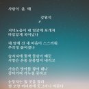 사랑이 올때 -강원석- 이미지