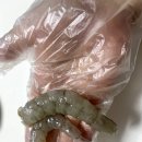 진주농수산 | 대한민국농수산물 생새우 1kg 인터넷 주문 내돈내산 후기