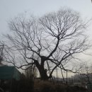 부천여자중학교 이미지