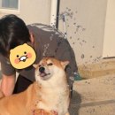 빵순돌이네하우스