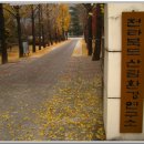 전라북도 산림환경 연구소 이미지