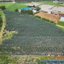 해달치킨 이미지